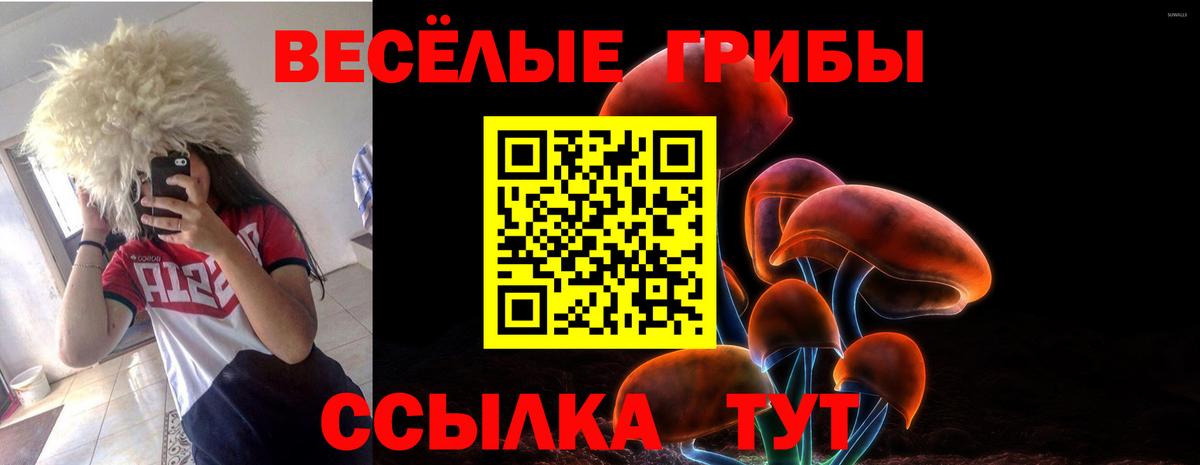 Галлюциногенные грибы Psilocybe Кандалакша